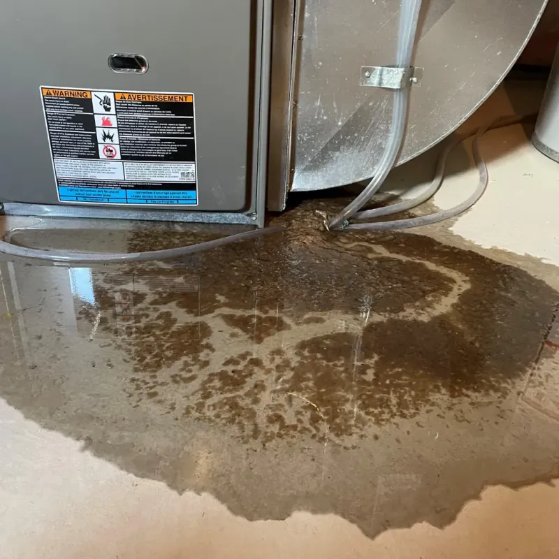 Appliance Leak Cleanup in Lillington, NC